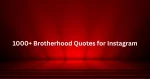 1000+ Brotherhood Quotes for Instagram